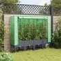 Arriate con cubierta invernadero aspecto ratán 160x40x140 cm by , Pots and planters - Ref: Foro24-4015835, Price: 129,95 €, D...