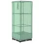 Arriate con cubierta invernadero aspecto ratán 40x40x123 cm by , Pots and planters - Ref: Foro24-4015837, Price: 43,40 €, Dis...