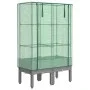 Hochbeet mit Gewächshausabdeckung im Rattan-Look 80x40x140 cm von , Töpfe und Pflanzgefäße - Ref: Foro24-4015861, Preis: 68,9...