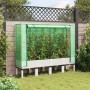 Hochbeet mit Gewächshausabdeckung im Rattan-Look 160x40x140 cm von , Töpfe und Pflanzgefäße - Ref: Foro24-4015849, Preis: 110...