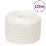 Arbeitsseil aus weißem Polypropylen 20 mm 100 m von , Seile und Metallschnüre - Ref: Foro24-153070, Preis: 140,00 €, Rabatt: %
