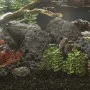 Schwarze vulkanische Felsen 10 kg 10-30 cm von , Aquariumdekoration - Ref: Foro24-3217188, Preis: 42,35 €, Rabatt: %
