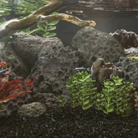 Black volcanic rocks 25 kg 10-30 cm by , Aquarium decoration - Ref: Foro24-3217189, Price: 67,29 €, Discount: %