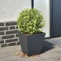 Hexagonal anthracite steel planter 30x30x30 cm by , Pots and planters - Ref: Foro24-851042, Price: 27,41 €, Discount: %