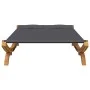 Liege mit anthrazitgrauem, gebogenem Holzdach 165 x 188,5 x 46 cm von vidaXL, Betten im Freien - Ref: Foro24-313950, Preis: 2...