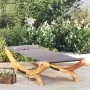 Lounger with anthracite gray curved wood canopy 100x188.5x44 cm by vidaXL, Outdoor beds - Ref: Foro24-313948, Price: 148,60 €...