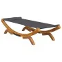 Lounger with anthracite gray curved wood canopy 100x188.5x44 cm by vidaXL, Outdoor beds - Ref: Foro24-313948, Price: 148,60 €...