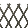 Spalier-Gartenzaun aus massivem grauem Tannenholz 120x60 cm von vidaXL, Zaunpaneele - Ref: Foro24-314823, Preis: 26,15 €, Rab...