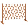Massivholzgitter-Gartenzaun Orangefichte 150x80 cm von vidaXL, Zaunpaneele - Ref: Foro24-314826, Preis: 31,82 €, Rabatt: %