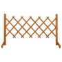 Fenced garden gate made of solid orange fir wood 120x60 cm by vidaXL, fence panels - Ref: Foro24-314822, Price: 30,01 €, Disc...