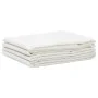 Zeltmatte 200x500 cm weiß von vidaXL, Zeltzubehör - Ref: Foro24-314792, Preis: 19,87 €, Rabatt: %
