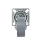 Ruedas giratorias 24 unidades 50 mm by , Material handling - Ref: Foro24-277819, Price: 56,66 €, Discount: %