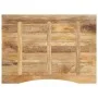 Tablero escritorio con curva madera mango rugosa 100x80x2,5 cm de , Tableros para mesas - Ref: Foro24-370205, Precio: 93,69 €...