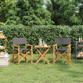 Sillas de director plegables 2 unidades madera maciza teca gris by , Garden chairs - Ref: Foro24-4008513, Price: 231,92 €, Di...