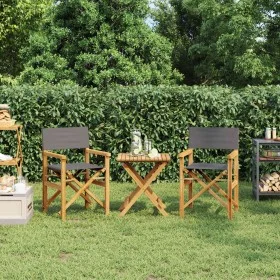 Sillas de director plegables 2 unidades madera maciza teca gris by , Garden chairs - Ref: Foro24-4008513, Price: 220,05 €, Di...