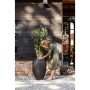 Capi Jarrón Nature Rib elegante Deluxe negro 45x72 cm by , Pots and planters - Ref: Foro24-434834, Price: 189,41 €, Discount: %