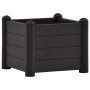 Anthrazitgraues PP-Gartenbett 43x43x35 cm von vidaXL, Töpfe und Pflanzgefäße - Ref: Foro24-313973, Preis: 65,52 €, Rabatt: %