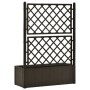 Garden bed with trellis and automatic irrigation system moca by vidaXL, Pots and planters - Ref: Foro24-313968, Price: 158,67...