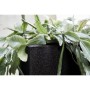 Capi Jardinera cuadrada Urban Smooth negra 30x30x30 cm KBL902 von , Töpfe und Pflanzgefäße - Ref: Foro24-424341, Preis: 54,70...