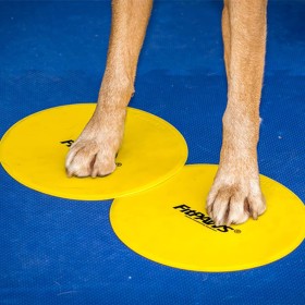 FitPAWS Accesorios de entrenamiento 4 unidades amarillo y azul