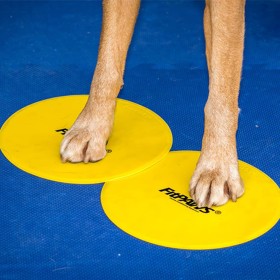 FitPAWS Trainingszubehör 4 Stück gelb und blau von FitPAWS, Trainingsgeräte für Haustiere - Ref: Foro24-433829, Preis: 34,52 ...
