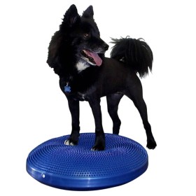 FitPAWS Disco de equilibrio para mascotas azul 56 
