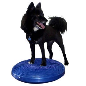 FitPAWS Disco de equilibrio para mascotas azul 56 cm