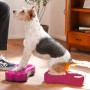 FitPAWS Plataforma equilibrio perros Mini K9FITbone 2 uds