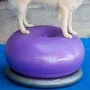 FitPAWS Donut-Ständer Grau 63 cm von FitPAWS, Trainingsgeräte für Haustiere - Ref: Foro24-433821, Preis: 65,39 €, Rabatt: %
