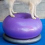 FitPAWS Donut-Ständer Grau 63 cm von FitPAWS, Trainingsgeräte für Haustiere - Ref: Foro24-433821, Preis: 65,24 €, Rabatt: %