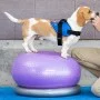 FitPAWS Donut-Ständer Grau 63 cm von FitPAWS, Trainingsgeräte für Haustiere - Ref: Foro24-433821, Preis: 65,39 €, Rabatt: %