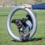 FitPAWS Donut-Ständer Grau 63 cm von FitPAWS, Trainingsgeräte für Haustiere - Ref: Foro24-433821, Preis: 65,39 €, Rabatt: %
