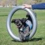 FitPAWS Donut-Ständer Grau 63 cm von FitPAWS, Trainingsgeräte für Haustiere - Ref: Foro24-433821, Preis: 65,24 €, Rabatt: %