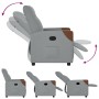 Sillón reclinable de tela gris claro von , Sessel - Ref: Foro24-4104809, Preis: 187,57 €, Rabatt: %