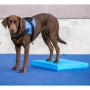 FitPAWS Colchoneta de equilibrio para mascotas azul 38x46x5 cm