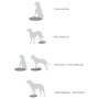 FitPAWS Colchoneta de equilibrio para mascotas azul 38x46x5 cm