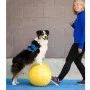 FitPAWS Pet Balance Platform Trax Erdnussgelb 40 cm von FitPAWS, Trainingsgeräte für Haustiere - Ref: Foro24-433838, Preis: 7...