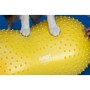 FitPAWS Pet Balance Platform Trax Erdnussgelb 40 cm von FitPAWS, Trainingsgeräte für Haustiere - Ref: Foro24-433838, Preis: 7...