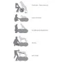 FitPAWS Pet Balance Platform Trax Erdnussgelb 40 cm von FitPAWS, Trainingsgeräte für Haustiere - Ref: Foro24-433838, Preis: 7...