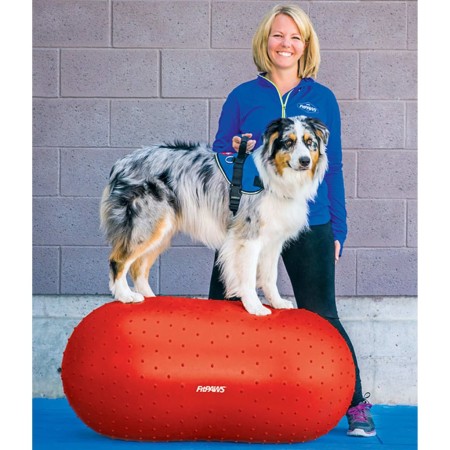 FitPAWS Plataforma de equilibrio para mascotas Trax Peanut rojo