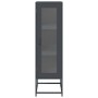 Aparador de acero laminado en frío antracita 36x39x123 cm de , Aparadores - Ref: Foro24-853394, Precio: 95,00 €