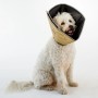 All Four Paws Collar electrónico de mascotas Comfy Cone marrón