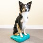 FitPAWS Balance Ramp für Haustiere blau 35x35x7 cm von FitPAWS, Trainingsgeräte für Haustiere - Ref: Foro24-433817, Preis: 45...