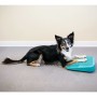 FitPAWS Balance Ramp für Haustiere blau 35x35x7 cm von FitPAWS, Trainingsgeräte für Haustiere - Ref: Foro24-433817, Preis: 45...