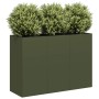 Jardinera de acero laminado en frío verde oliva 120x40x80 cm von , Töpfe und Pflanzgefäße - Ref: Foro24-860720, Preis: 148,64...