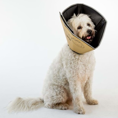 All Four Paws Collar electrónico de mascota Comfy Cone marrón