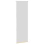 Estor Enrollable Opaco Beige 40x150 cm Tela Ancho 35,7 cm von , Jalousien und Jalousien - Ref: Foro24-4010726, Preis: 13,66 €...