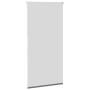 Estor Enrollable Opaco gris 65x150 cm Tela Ancho 60,7 cm de , Persianas y estores - Ref: Foro24-4011121, Precio: 17,61 €, Des...
