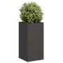 Jardinera de acero laminado en frío negro 40x40x80 cm von , Töpfe und Pflanzgefäße - Ref: Foro24-860703, Preis: 103,03 €, Rab...