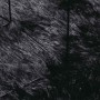 Alfombra peluda de pelo largo NAVARRA negra 80x150 cm poliéster de , Alfombras - Ref: Foro24-4102814, Precio: 23,52 €, Descue...